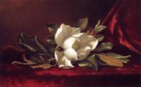 Heade, Martin Johnson - The Magnolia Blossom